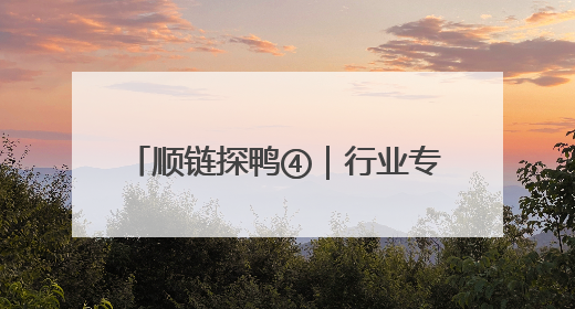顺链探鸭④｜行业专家：我省肉鸭养殖品种80%是樱桃谷鸭