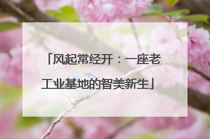 风起常经开：一座老工业基地的智美新生