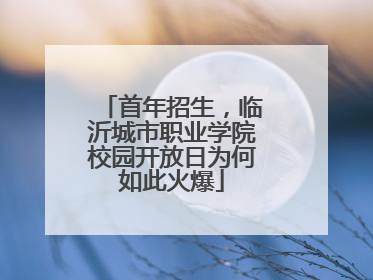 首年招生，临沂城市职业学院校园开放日为何如此火爆
