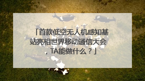 首款低空无人机感知基站亮相世界移动通信大会，TA能做什么？