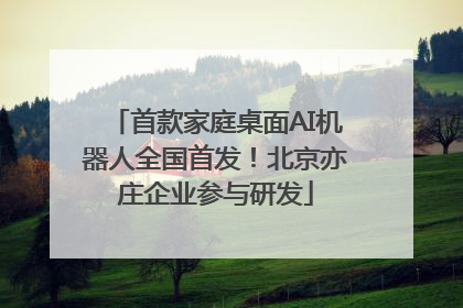 首款家庭桌面AI机器人全国首发！北京亦庄企业参与研发