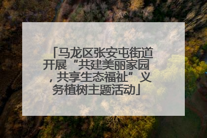 马龙区张安屯街道开展“共建美丽家园，共享生态福祉”义务植树主题活动