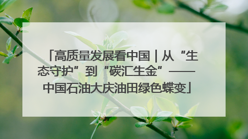 高质量发展看中国｜从“生态守护”到“碳汇生金”——中国石油大庆油田绿色蝶变