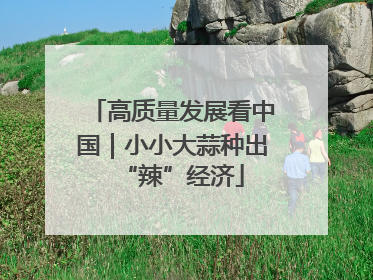 高质量发展看中国｜小小大蒜种出“辣”经济