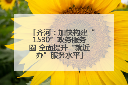 齐河：加快构建“1530”政务服务圈 全面提升“就近办”服务水平