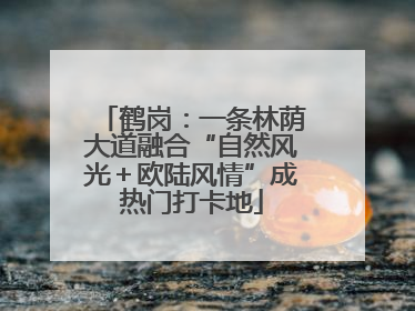 鹤岗：一条林荫大道融合“自然风光＋欧陆风情”成热门打卡地