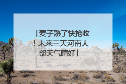 麦子熟了快抢收！未来三天河南大部天气晴好