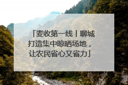 麦收第一线丨聊城打造集中晾晒场地，让农民省心又省力