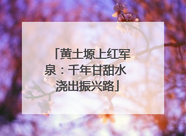 黄土塬上红军泉：千年甘甜水 浇出振兴路