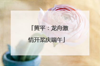 黄平：龙舟激情开桨庆端午