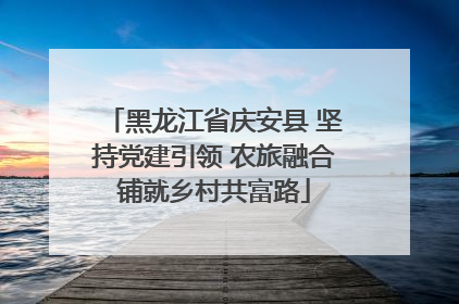 黑龙江省庆安县 坚持党建引领 农旅融合铺就乡村共富路