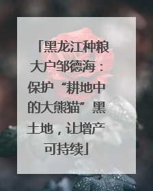 黑龙江种粮大户邹德海：保护“耕地中的大熊猫”黑土地，让增产可持续