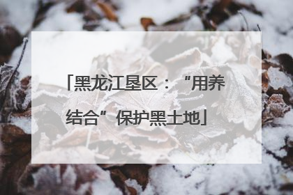 黑龙江垦区：“用养结合”保护黑土地