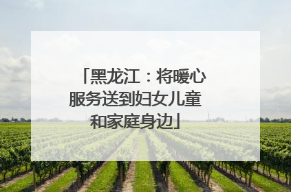 黑龙江：将暖心服务送到妇女儿童和家庭身边