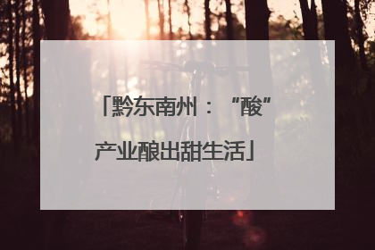 黔东南州：“酸”产业酿出甜生活