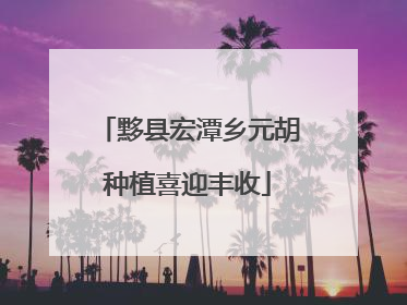 黟县宏潭乡元胡种植喜迎丰收