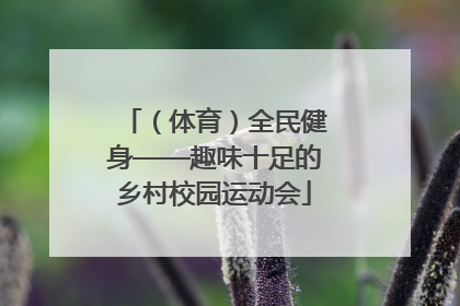 （体育）全民健身——趣味十足的乡村校园运动会