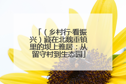 （乡村行·看振兴）藏在北魏重镇里的坝上雅居：从留守村到生态园
