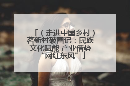 （走进中国乡村）茗新村破圈记：民族文化赋能 产业借势 “网红东风”