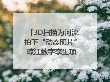 3D扫描为河流拍下“动态照片” 琼江数字孪生项目赋能流域管理｜新闻发布最前线