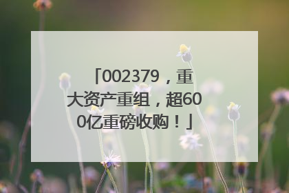 002379，重大资产重组，超600亿重磅收购！