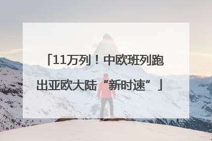 11万列！中欧班列跑出亚欧大陆“新时速”