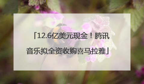 12.6亿美元现金！腾讯音乐拟全资收购喜马拉雅
