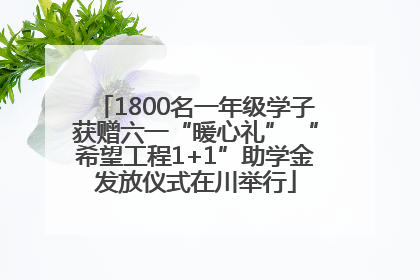 1800名一年级学子获赠六一“暖心礼” “希望工程1+1”助学金发放仪式在川举行