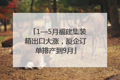 1—5月福建集装箱出口大涨，厦企订单排产到9月