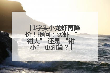 1字头小龙虾再降价！提问：买虾 “钳大” 还是 “钳小” 更划算？