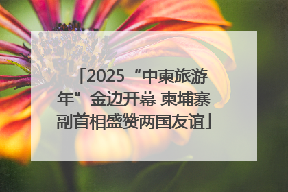 2025“中柬旅游年”金边开幕 柬埔寨副首相盛赞两国友谊