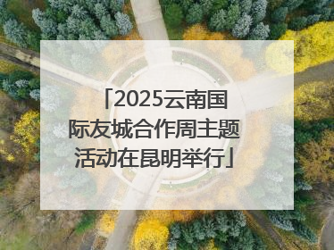 2025云南国际友城合作周主题活动在昆明举行