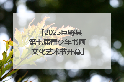 2025巨野县第七届青少年书画文化艺术节开幕