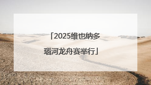 2025维也纳多瑙河龙舟赛举行