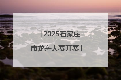 2025石家庄市龙舟大赛开赛