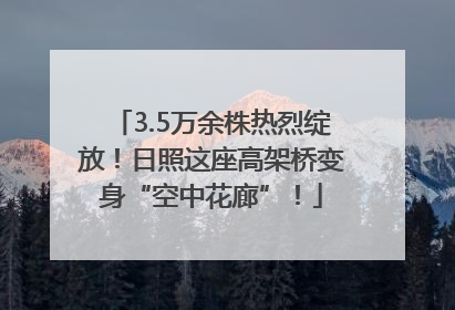 3.5万余株热烈绽放！日照这座高架桥变身“空中花廊”！