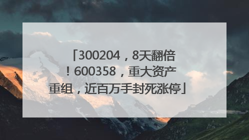 300204，8天翻倍！600358，重大资产重组，近百万手封死涨停