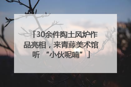 30余件陶土风炉作品亮相，来青藤美术馆听 “小伙呢喃”
