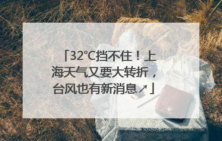 32℃挡不住！上海天气又要大转折，台风也有新消息↗