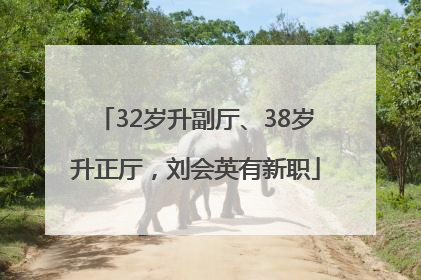 32岁升副厅、38岁升正厅，刘会英有新职