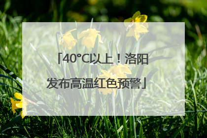 40°C以上！洛阳发布高温红色预警