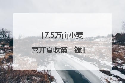 7.5万亩小麦喜开夏收第一镰