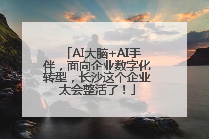 AI大脑+AI手伴，面向企业数字化转型，长沙这个企业太会整活了！