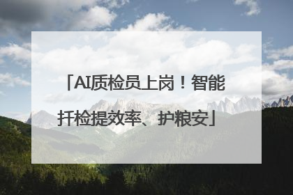 AI质检员上岗！智能扦检提效率、护粮安
