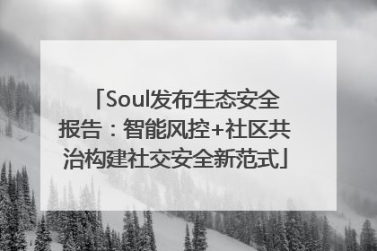 Soul发布生态安全报告：智能风控+社区共治构建社交安全新范式